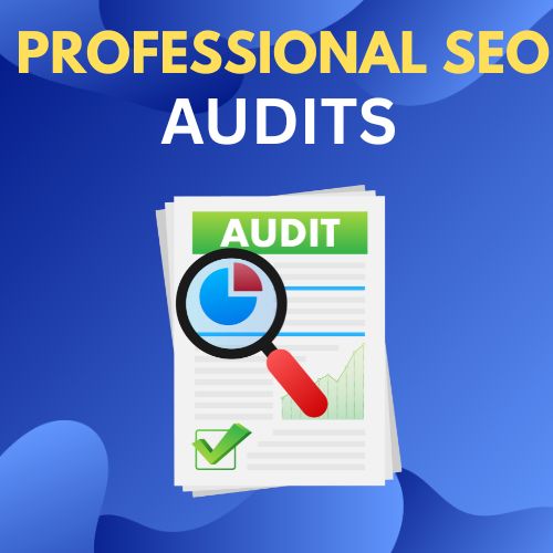 Professional SEO Audits