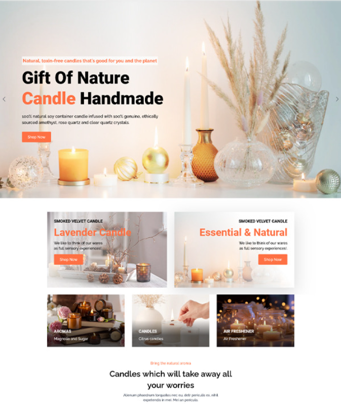 website 1