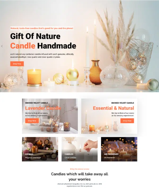website 1