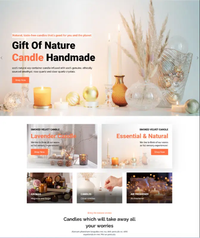 website 8